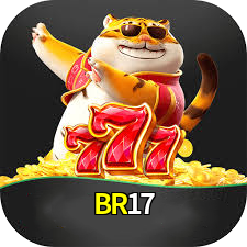 BR17 logo